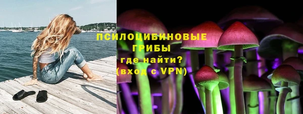 дмт Переславль-Залесский