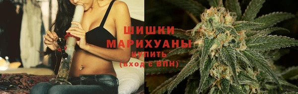 дмт Переславль-Залесский
