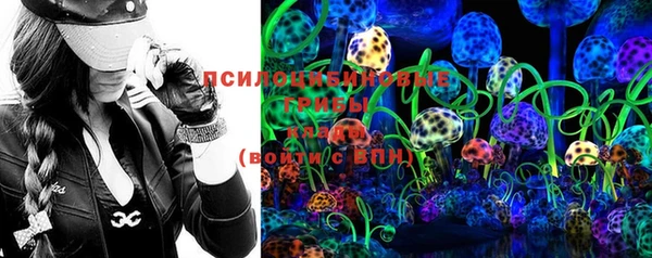 дмт Переславль-Залесский