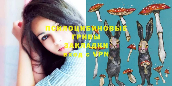 герыч Пересвет