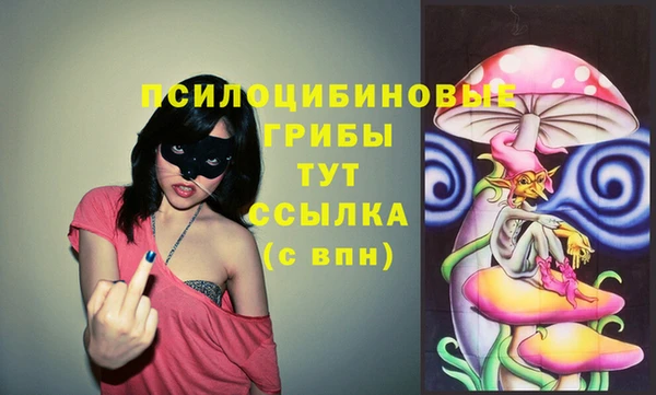 дмт Переславль-Залесский