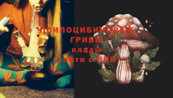 дмт Переславль-Залесский