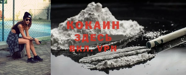 дмт Переславль-Залесский